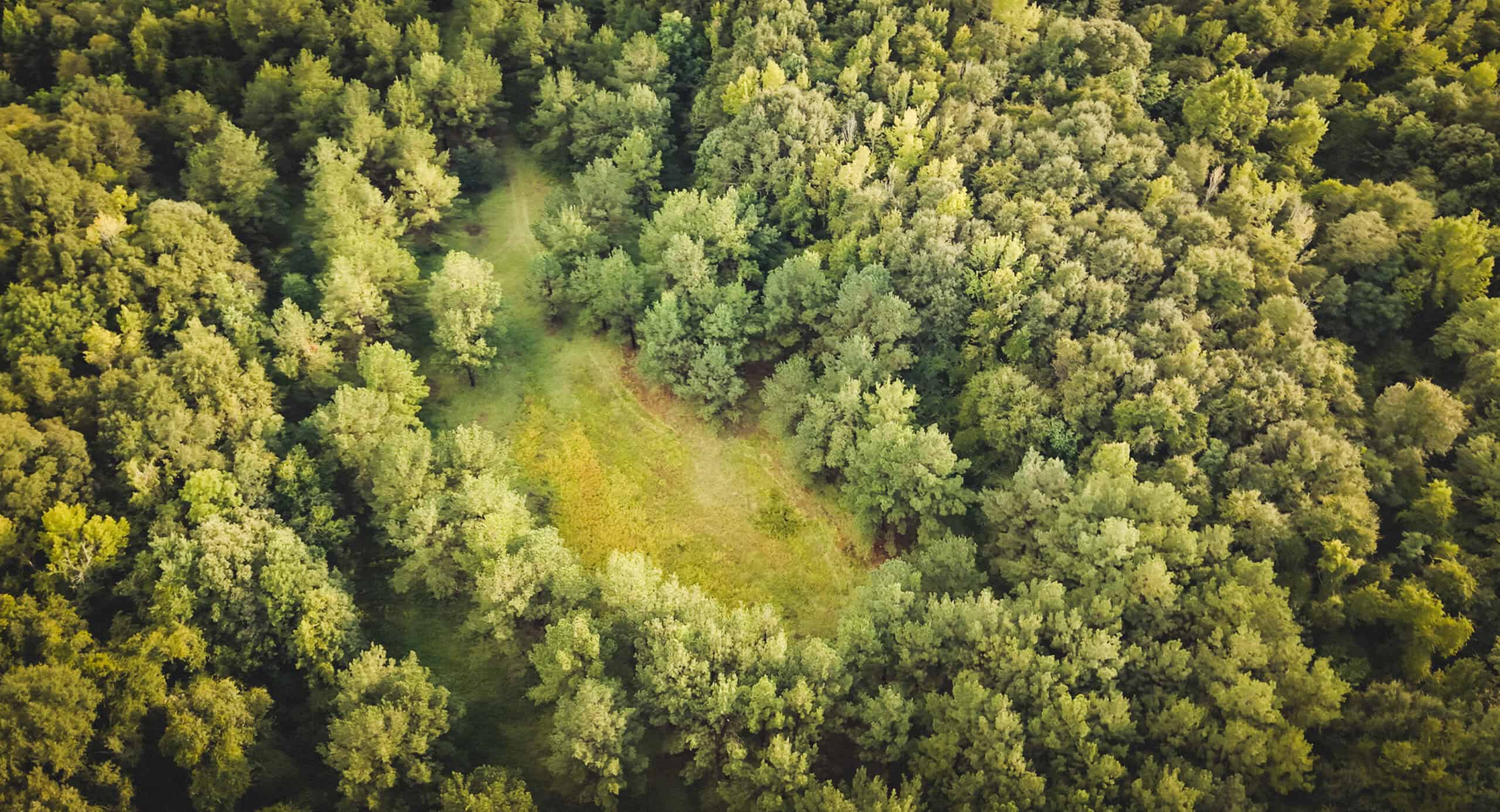 River Trails 127 | 127 Acres | Montezuma, GA